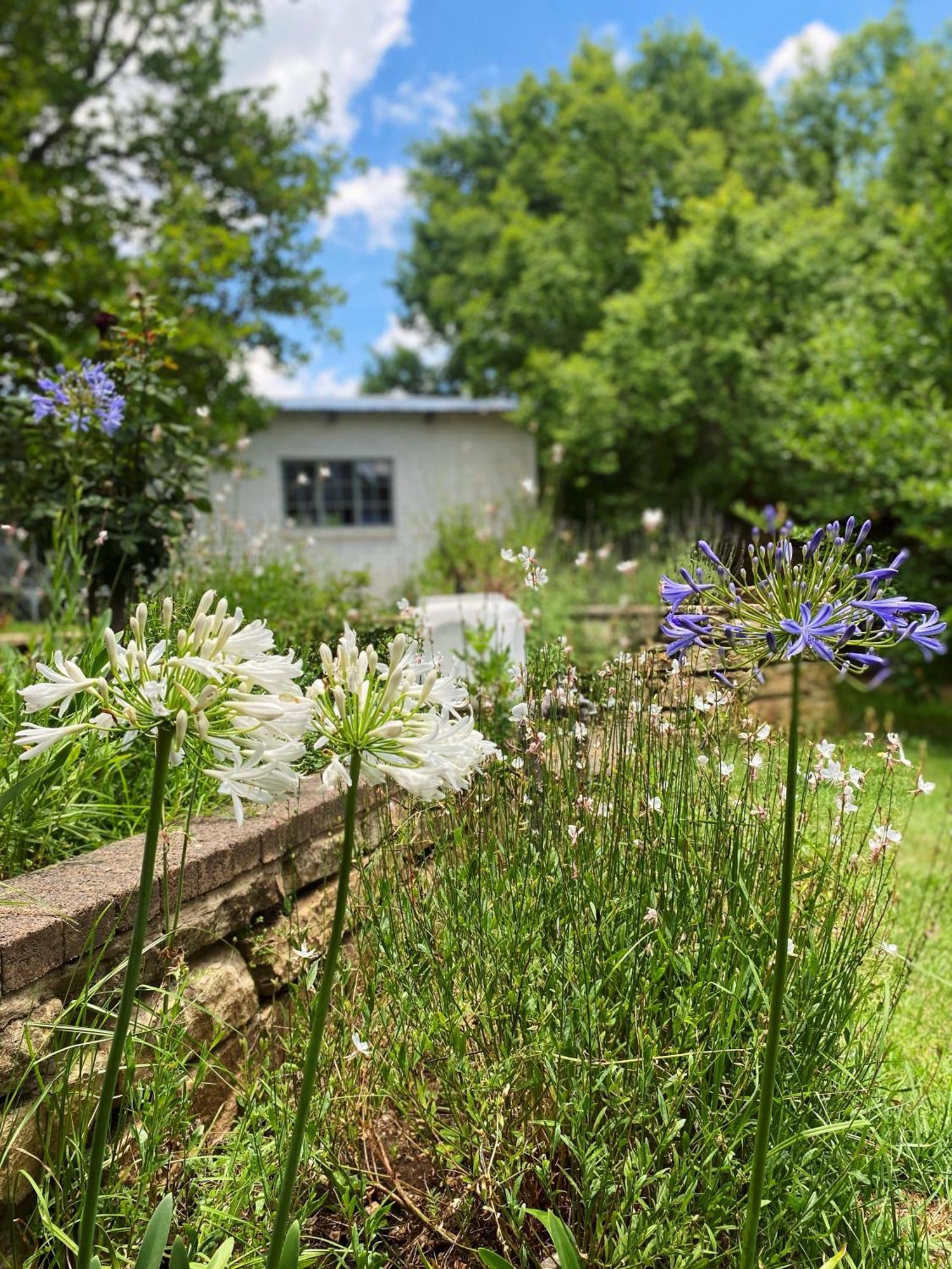 Collett House And Lavender Cottage Clarens Exterior photo